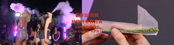 ECSTASY Белокуриха