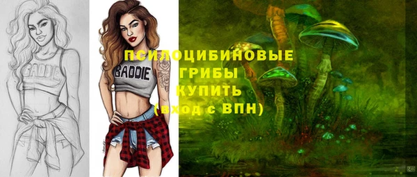 ALPHA PVP Надым