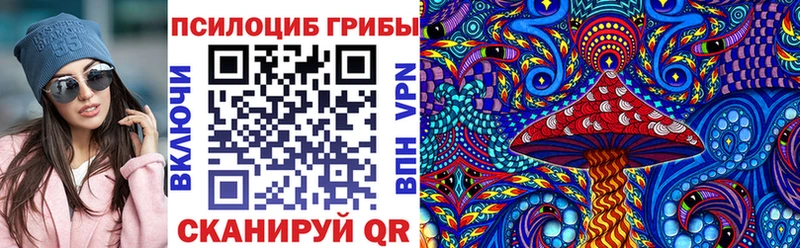 купить наркотик MEGA как зайти Галлюциногенные грибы мухоморы Игра